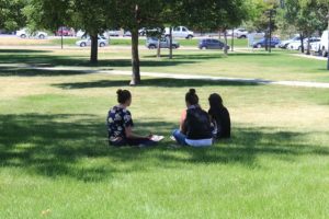 Group of people sitting in the grass.